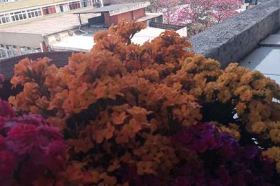 whatsapp image 2022-05-19 at 11.21.43.jpeg