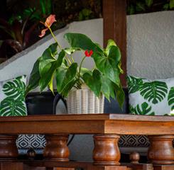 lestada exteriores-12-alta.jpg