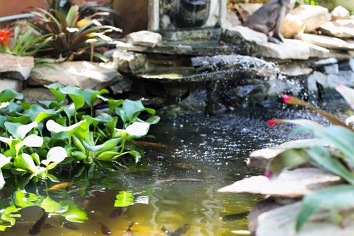 IMG_3922 (FILEminimizer).jpg