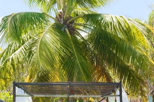 MAM_4062 (FILEminimizer).jpg