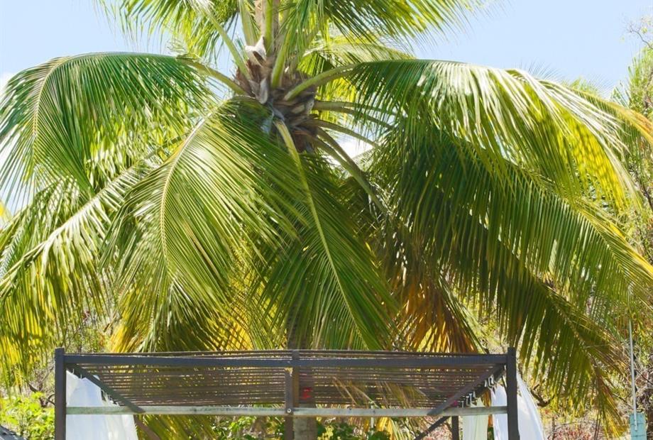 MAM_4062 (FILEminimizer).jpg