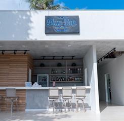 bluetree-43.jpg
