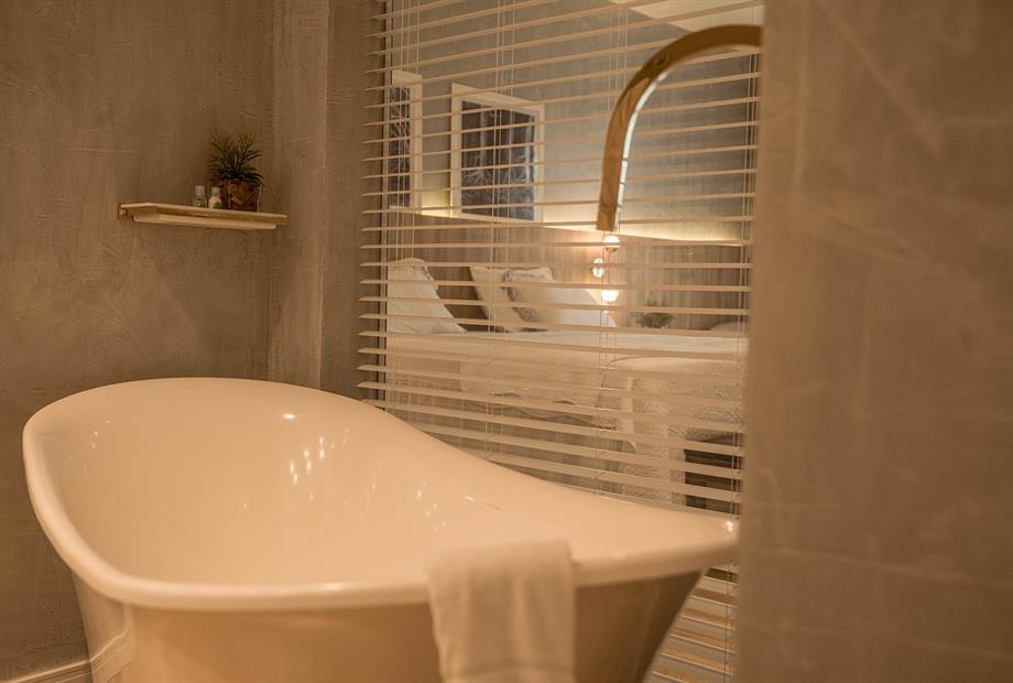 presidencial bluetree-reforma-65-web.jpg