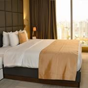Garden Suite