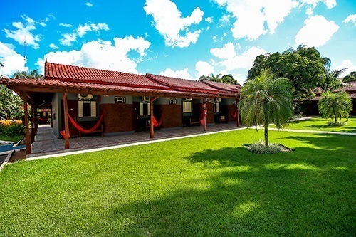 Detalhe gramado.jpg