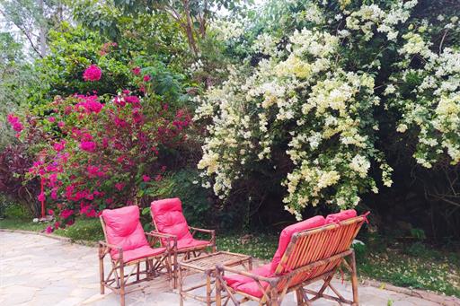 whatsapp image 2021-05-18 at 18.29.28.jpeg