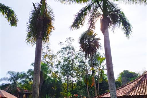 whatsapp image 2021-06-25 at 09.25.14.jpeg