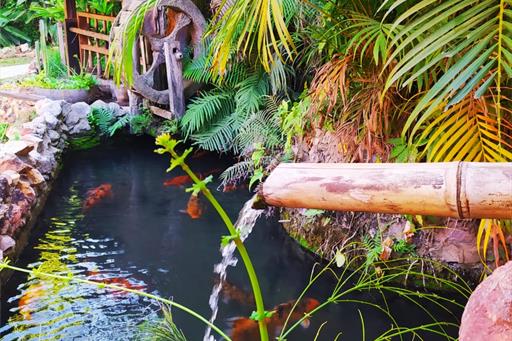 whatsapp image 2021-05-18 at 18.29.27 (1).jpeg