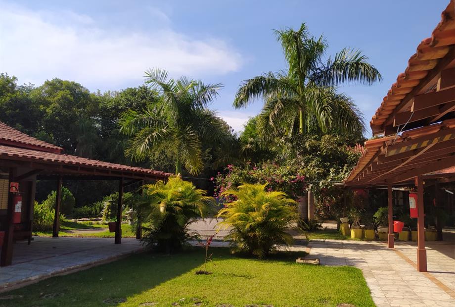 whatsapp image 2021-06-26 at 10.17.06.jpeg