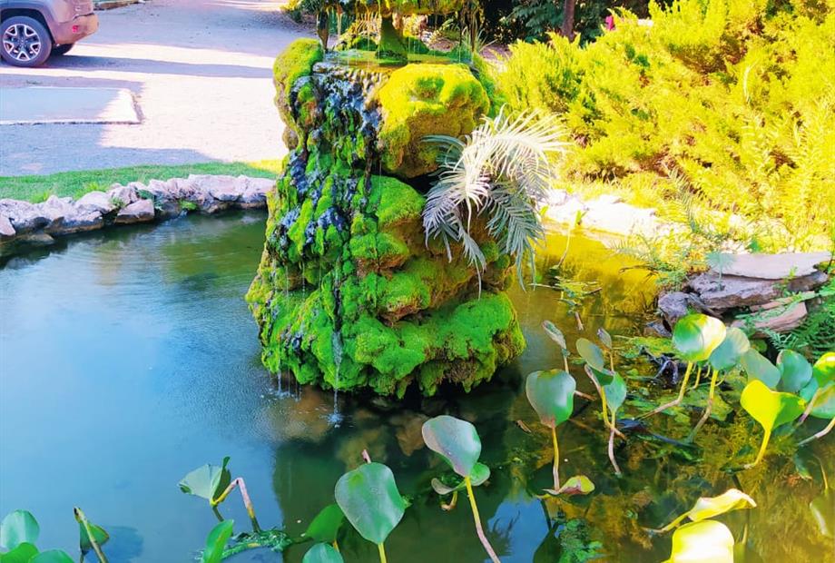 whatsapp image 2021-05-18 at 18.29.27.jpeg