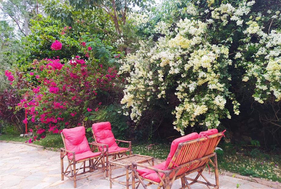 whatsapp image 2021-05-18 at 18.29.28.jpeg