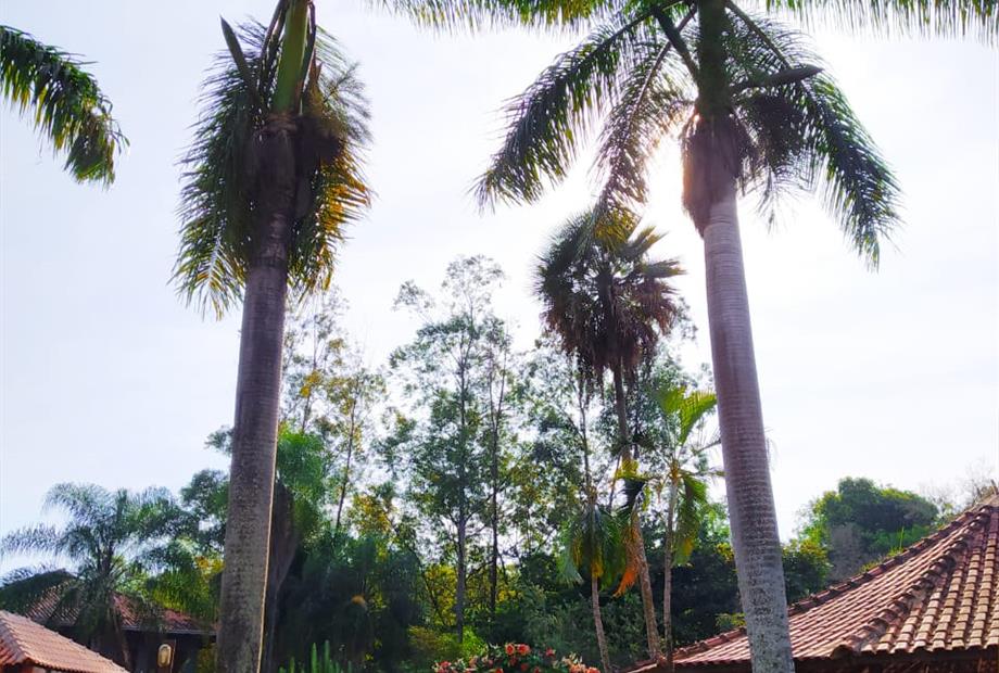 whatsapp image 2021-06-25 at 09.25.14.jpeg