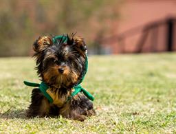 Hotel Refúgio Vista Serrana