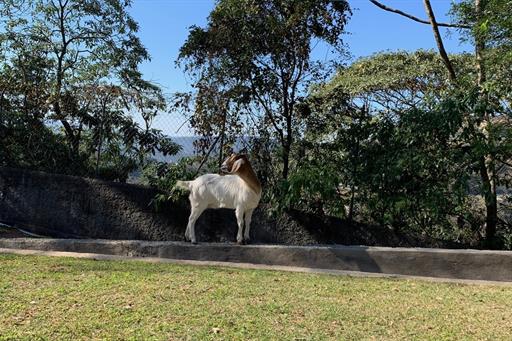 refugio-vista-serrana32 (1).jpeg