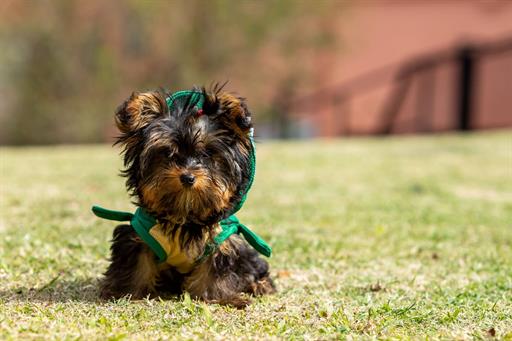 refugio-vista-serrana23 (2).jpeg