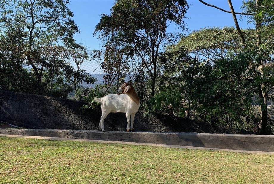 refugio-vista-serrana32 (1).jpeg