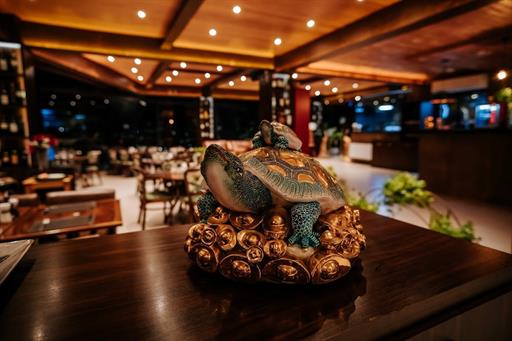 bella vista interior tartaruga.jpg