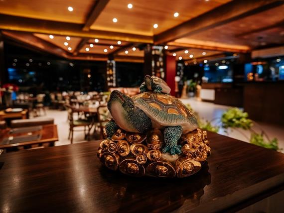 bella vista interior tartaruga.jpg