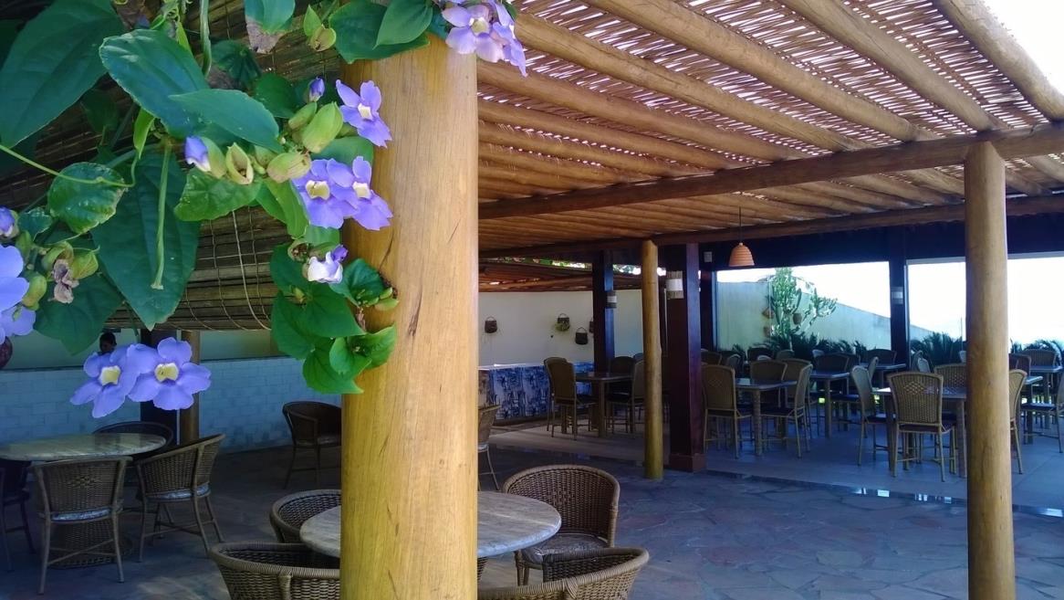 flores2.jpg