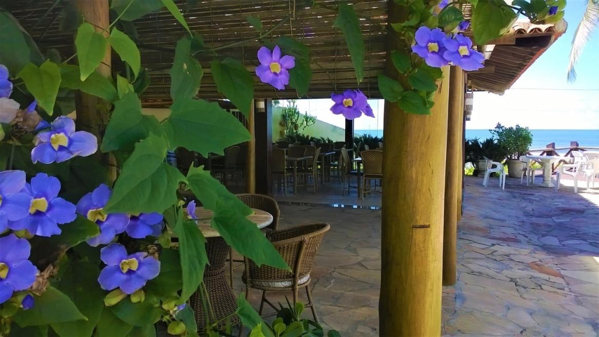 flores3.jpg