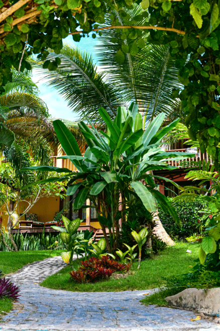 01_externojardim_1.png