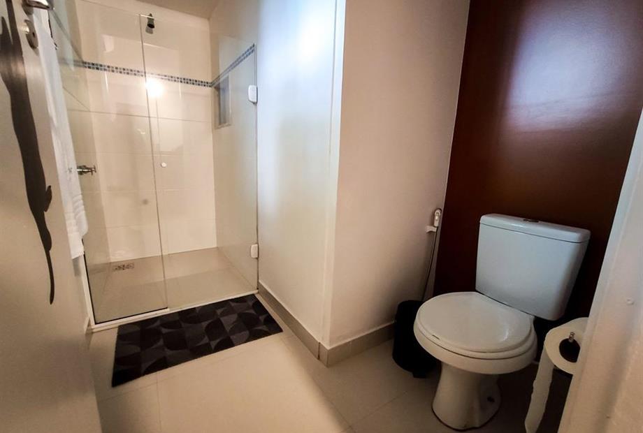 gatos_suite_taman (2).jpg