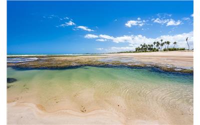 Praia de Itacimirim