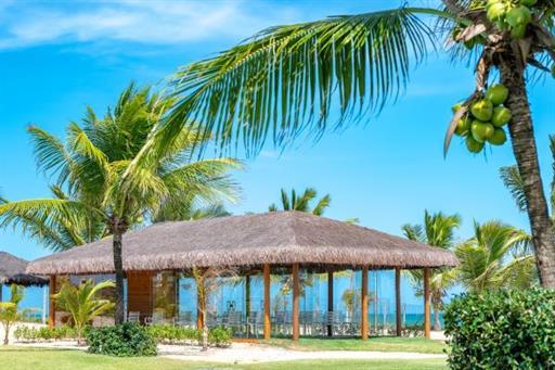 salao blue lateral.jpg