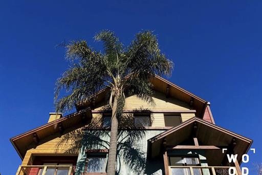 Fachada wood 3.jpg