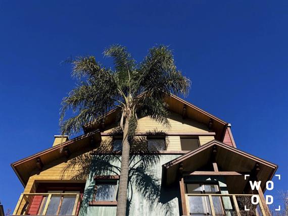 Fachada wood 3.jpg