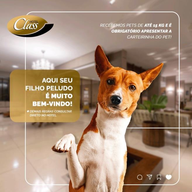 foto pet.jpeg
