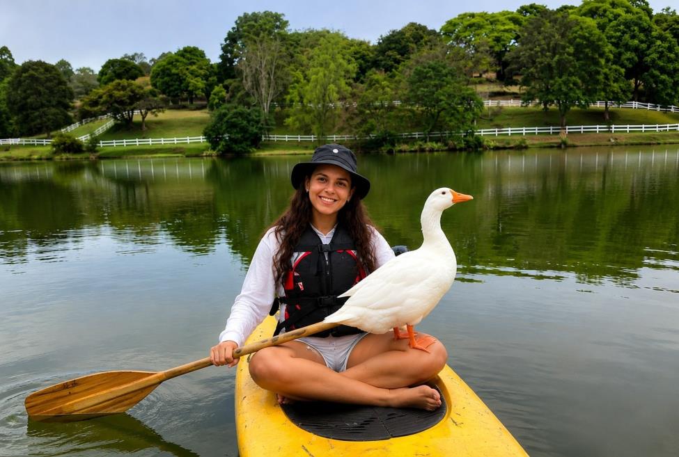 stand up paddle.jpg