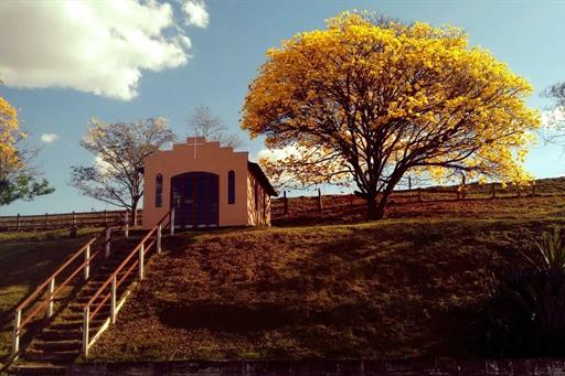 FOTO SITE 2_edited.jpg