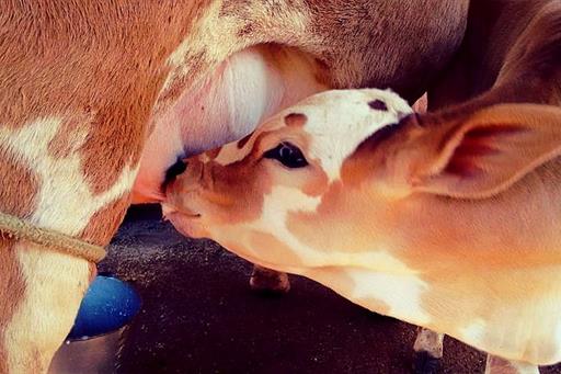 FOTO SITE_edited_edited.jpg