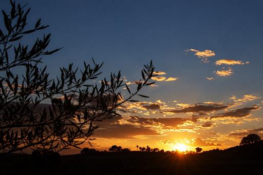 pôr do sol.jpg