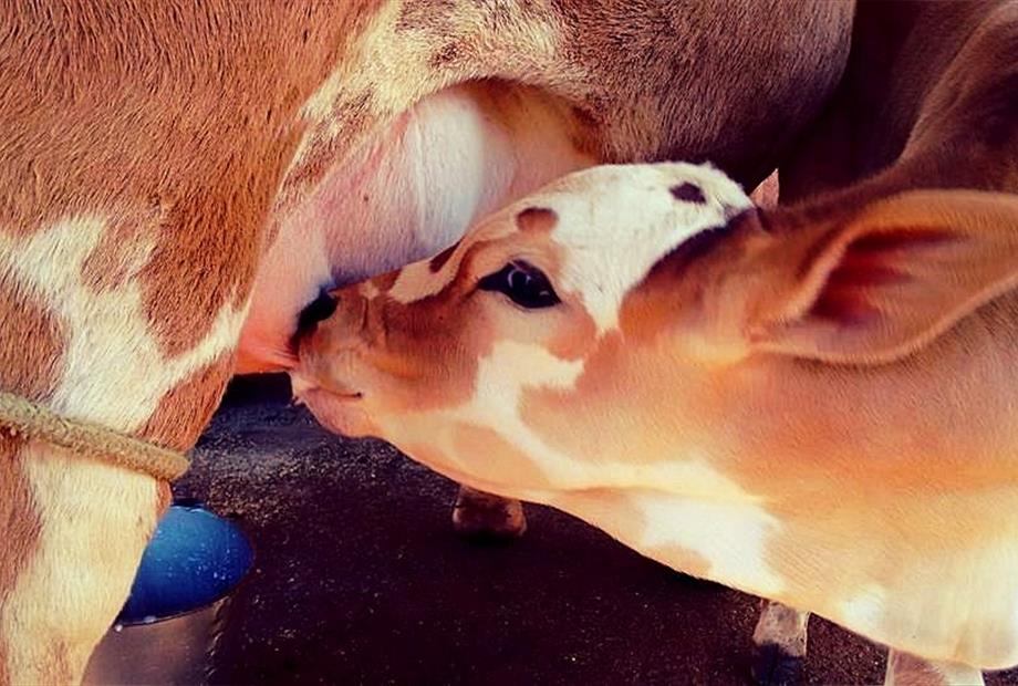 FOTO SITE_edited_edited.jpg