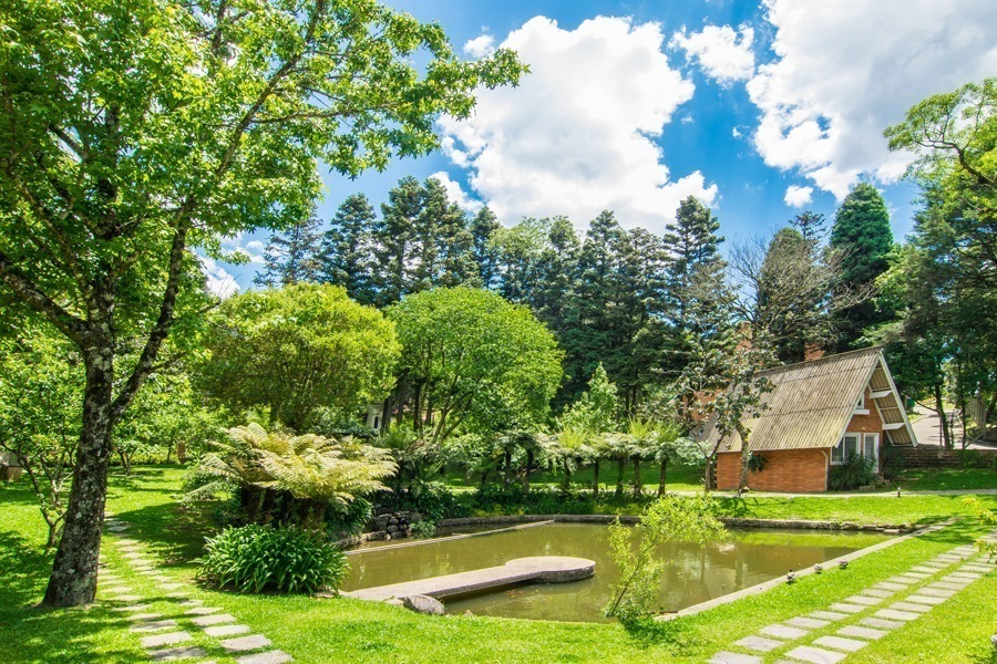 jardim (2).jpg