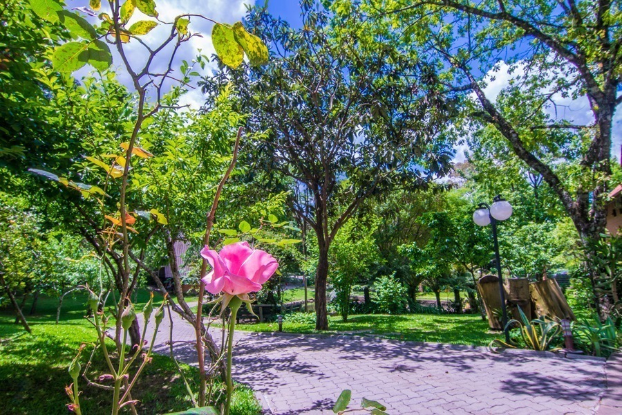 jardim.jpg