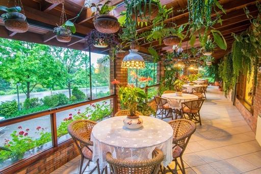 sacadao com plantas.jpg