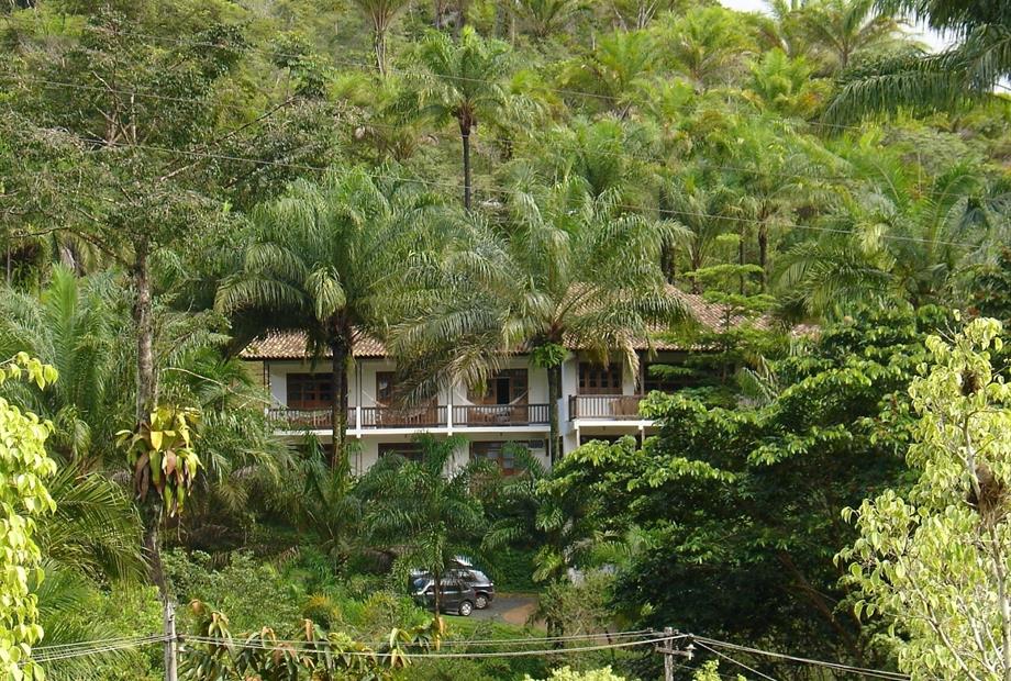 Cópia de Cópia de DSC03160.jpg