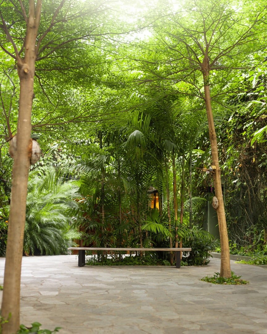 Imagem ilustrativa do hotel Pauli Boutique Hotel