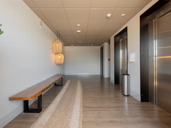 foto-72 (grande).jpg