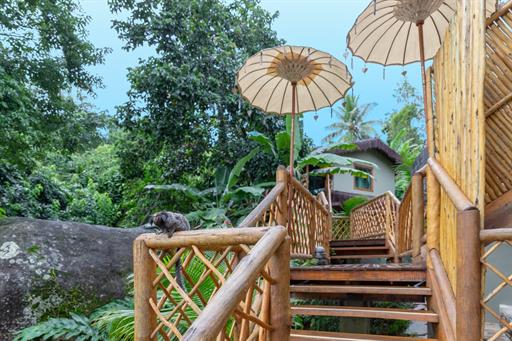 whatsapp image 2025-04-11 at 10.30.52 (5).jpeg