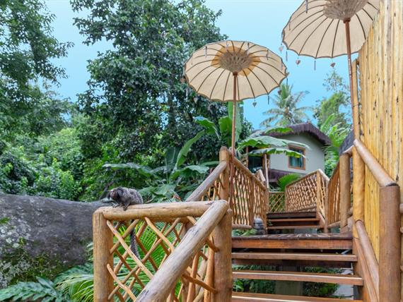 whatsapp image 2025-04-11 at 10.30.52 (5).jpeg