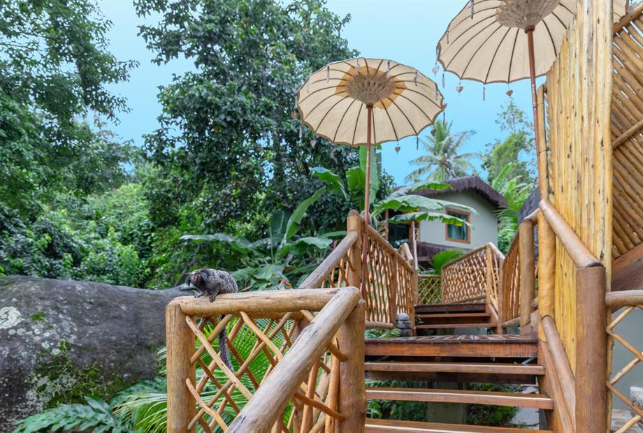 whatsapp image 2025-04-11 at 10.30.52 (5).jpeg