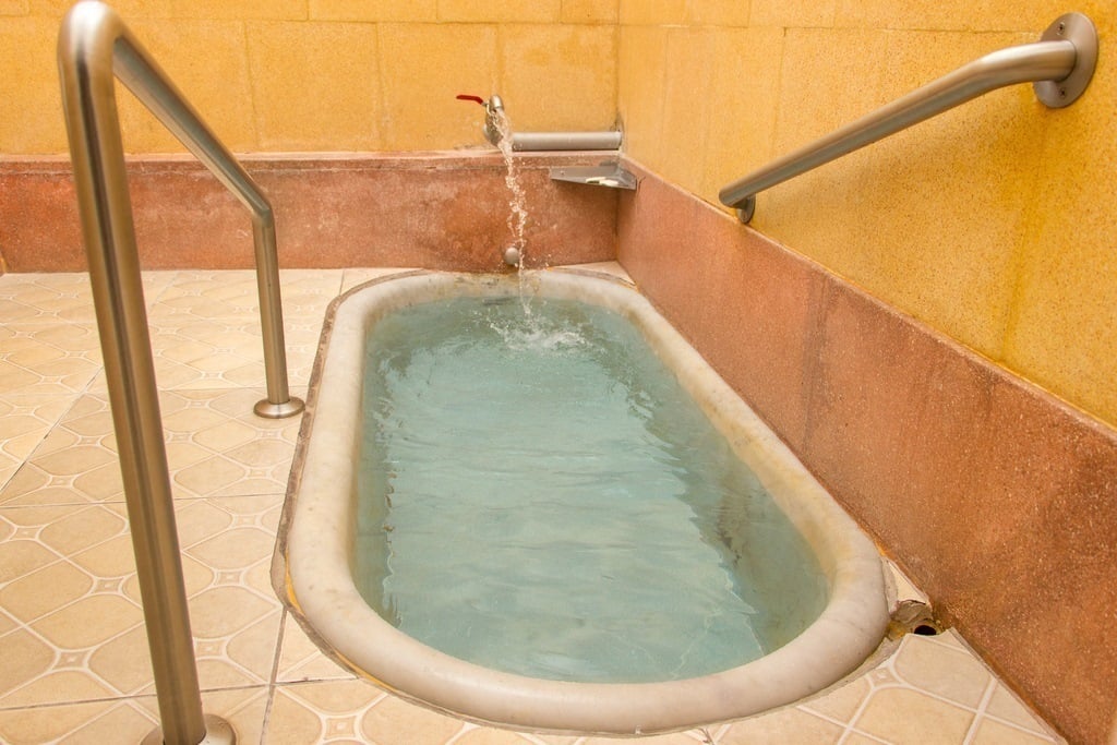Hotel Caldas da Imperatriz 1