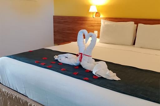 whatsapp image 2025-07-30 at 18.20.24.jpeg