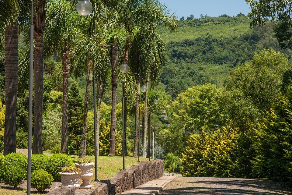 entrada.jpg