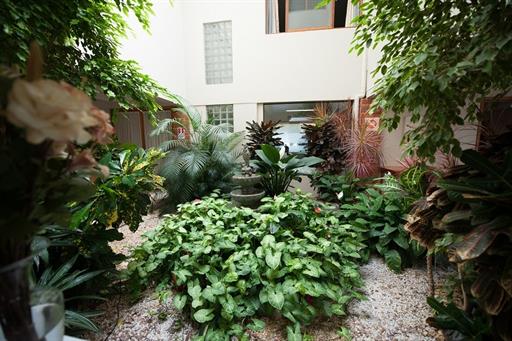 jardim interno.jpg
