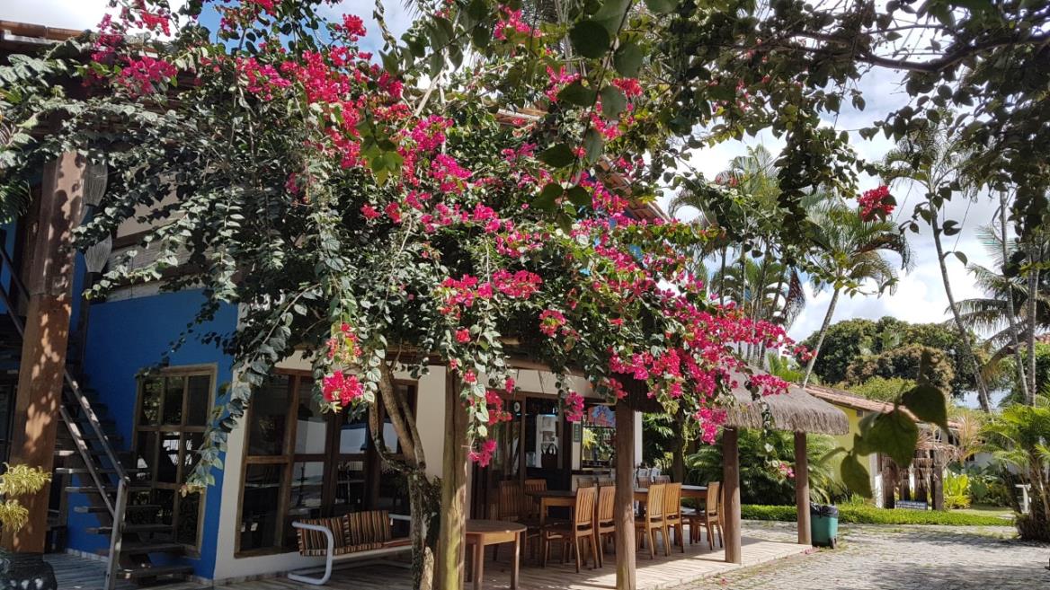 thumbnail_20180908_094219.jpg